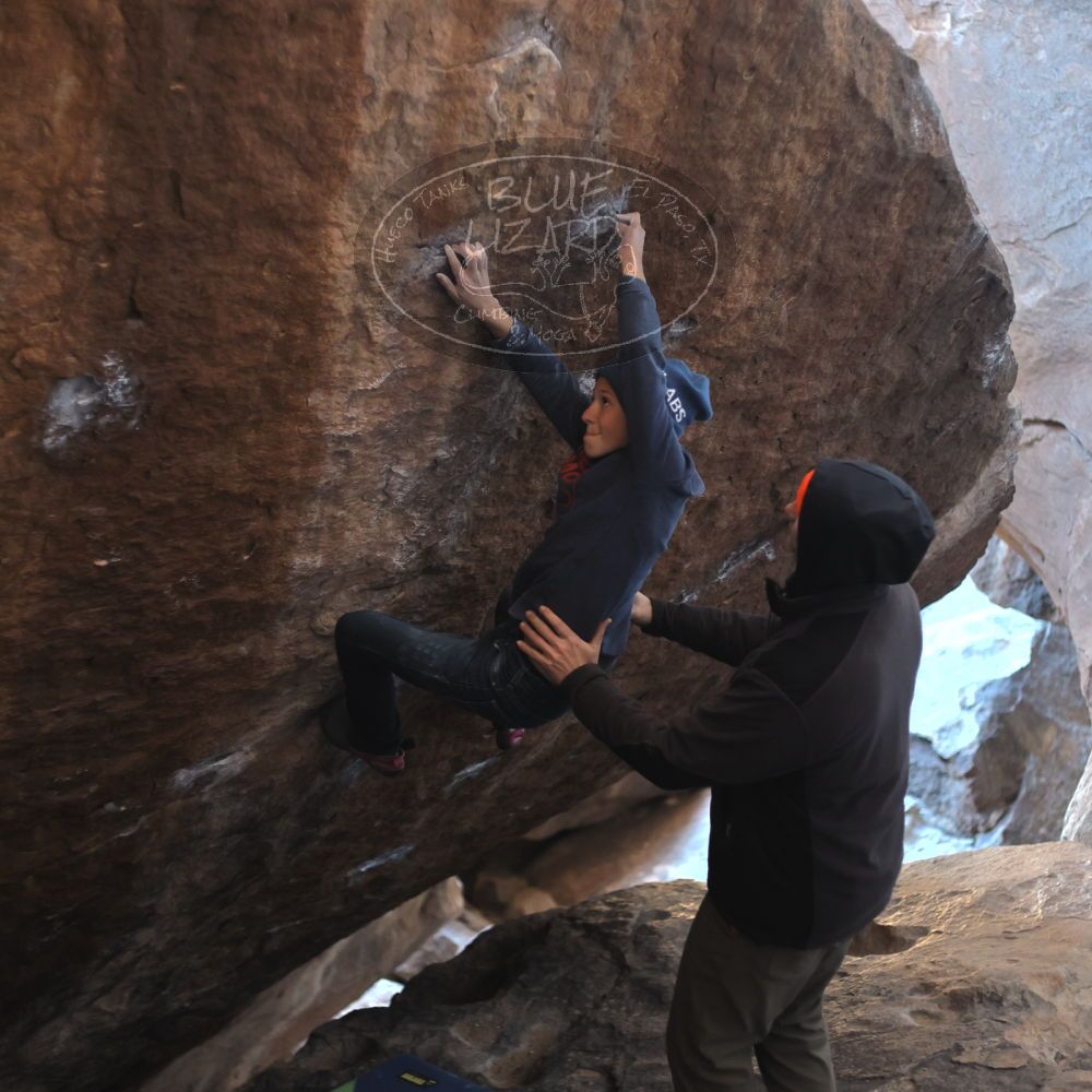 

Filename: SRM_20211228_1036550.jpg
Aperture: f/2.2
Shutter Speed: 1/250
Body: Canon EOS R6
Lens: Canon EF 50mm f/1.8 II