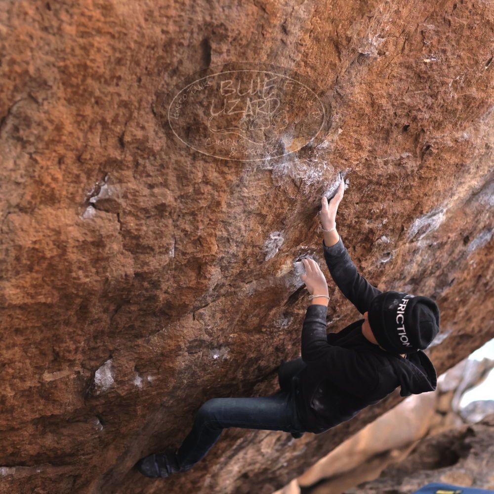 

Filename: SRM_20211228_1126401.jpg
Aperture: f/2.8
Shutter Speed: 1/250
Body: Canon EOS R6
Lens: Canon EF 85mm f/1.2 L II