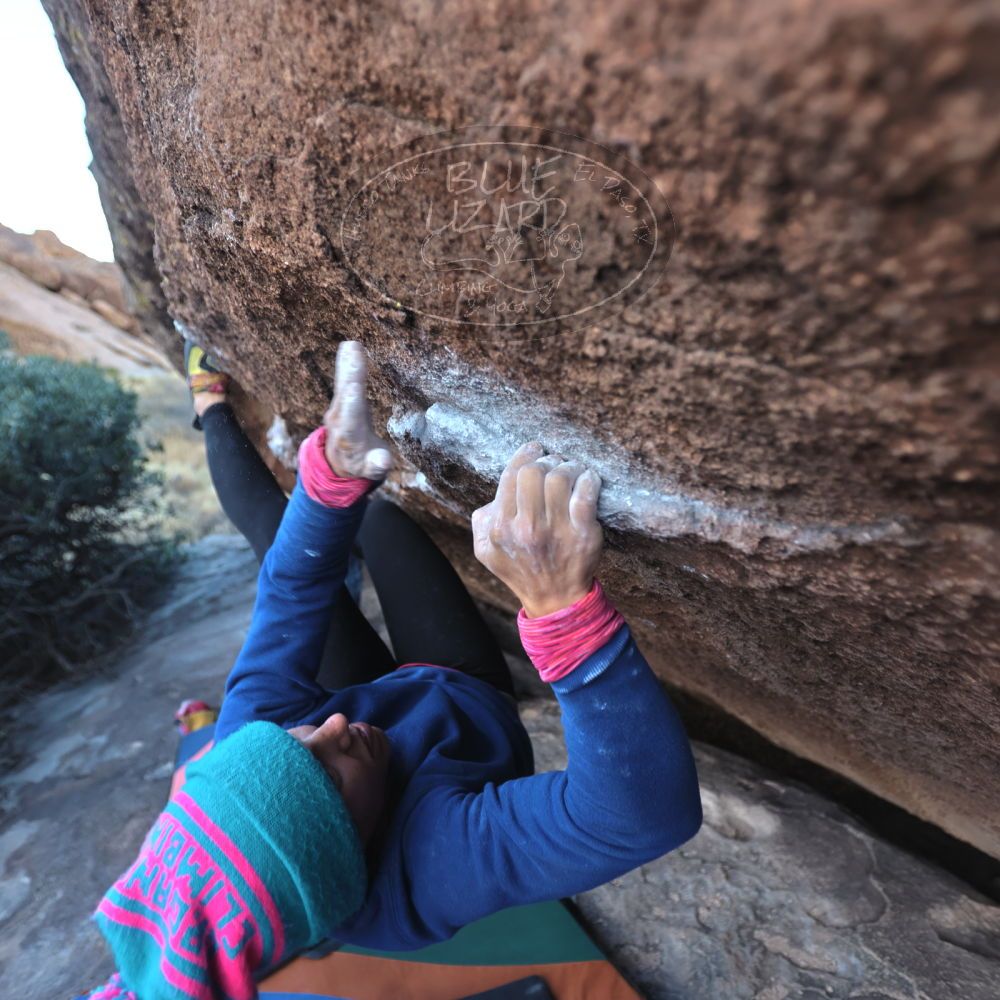 

Filename: SRM_20211228_1628090.jpg
Aperture: f/2.8
Shutter Speed: 1/400
Body: Canon EOS R6
Lens: Canon EF 16-35mm f/2.8 L