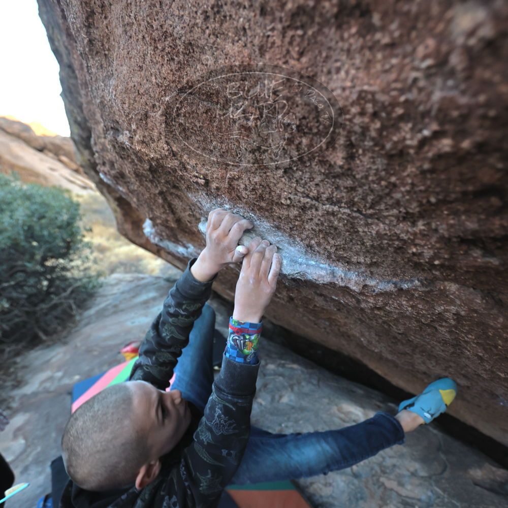 

Filename: SRM_20211228_1646321.jpg
Aperture: f/4.0
Shutter Speed: 1/320
Body: Canon EOS R6
Lens: Canon EF 16-35mm f/2.8 L