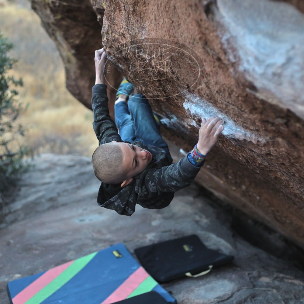 

Filename: SRM_20211228_1703250.jpg
Aperture: f/2.8
Shutter Speed: 1/320
Body: Canon EOS R6
Lens: Canon EF 50mm f/1.8 II