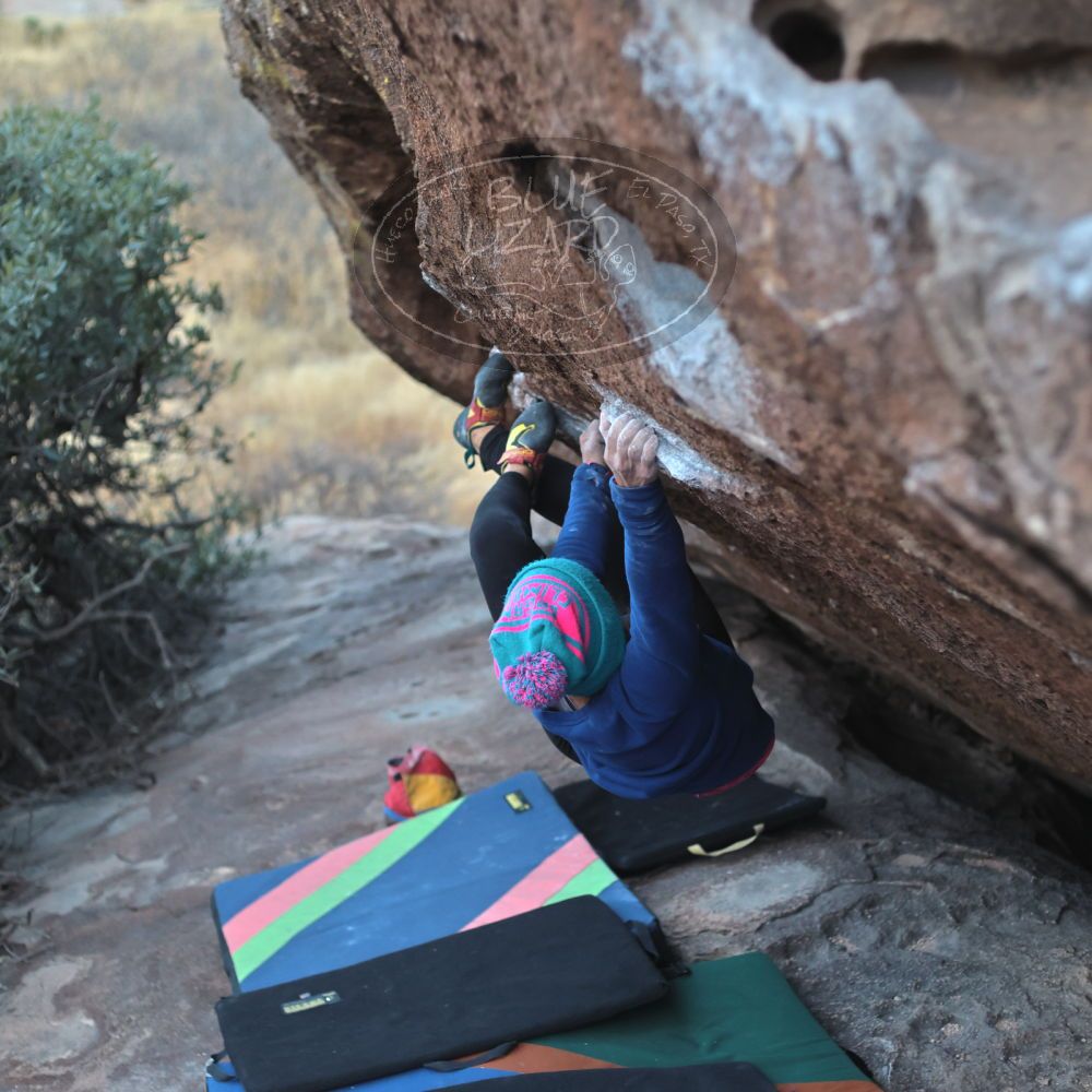 

Filename: SRM_20211228_1705401.jpg
Aperture: f/2.8
Shutter Speed: 1/320
Body: Canon EOS R6
Lens: Canon EF 50mm f/1.8 II