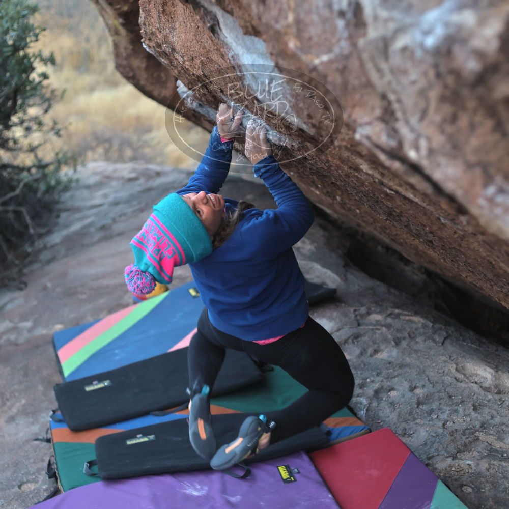 

Filename: SRM_20211228_1705460.jpg
Aperture: f/2.8
Shutter Speed: 1/320
Body: Canon EOS R6
Lens: Canon EF 50mm f/1.8 II