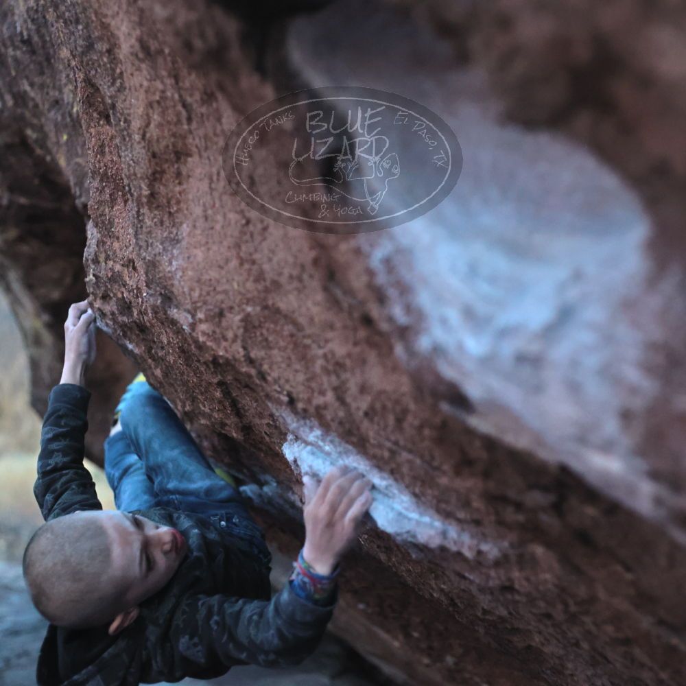 

Filename: SRM_20211228_1718331.jpg
Aperture: f/2.8
Shutter Speed: 1/320
Body: Canon EOS R6
Lens: Canon EF 50mm f/1.8 II