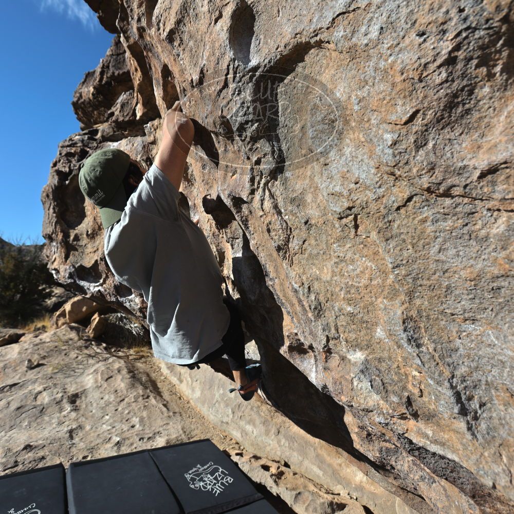 Filename: SRM_20211230_1005020.jpg
Aperture: f/5.6
Shutter Speed: 1/1000
Body: Canon EOS R6
Lens: Canon EF 16-35mm f/2.8 L