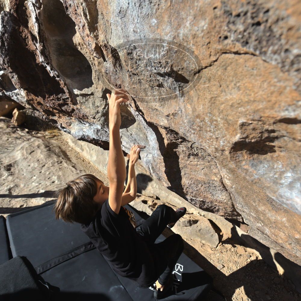 Filename: SRM_20211230_1008080.jpg
Aperture: f/5.6
Shutter Speed: 1/1250
Body: Canon EOS R6
Lens: Canon EF 16-35mm f/2.8 L