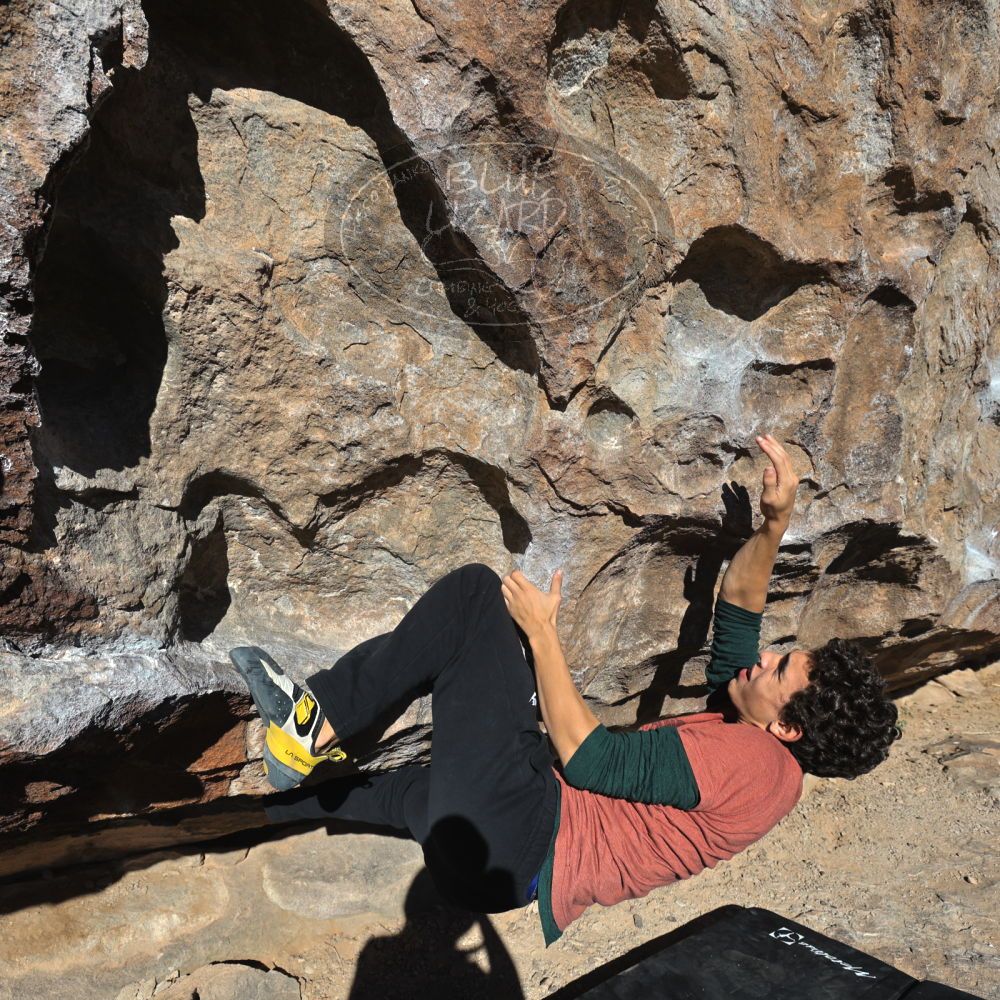 Filename: SRM_20211230_1014440.jpg
Aperture: f/5.6
Shutter Speed: 1/1600
Body: Canon EOS R6
Lens: Canon EF 16-35mm f/2.8 L