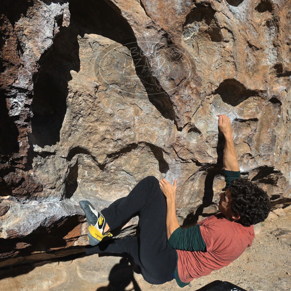 Filename: SRM_20211230_1014441.jpg
Aperture: f/5.6
Shutter Speed: 1/1600
Body: Canon EOS R6
Lens: Canon EF 16-35mm f/2.8 L