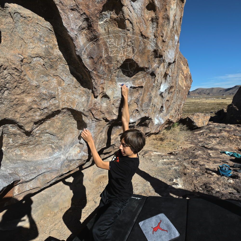 

Filename: SRM_20211230_1019160.jpg
Aperture: f/5.6
Shutter Speed: 1/1600
Body: Canon EOS R6
Lens: Canon EF 16-35mm f/2.8 L