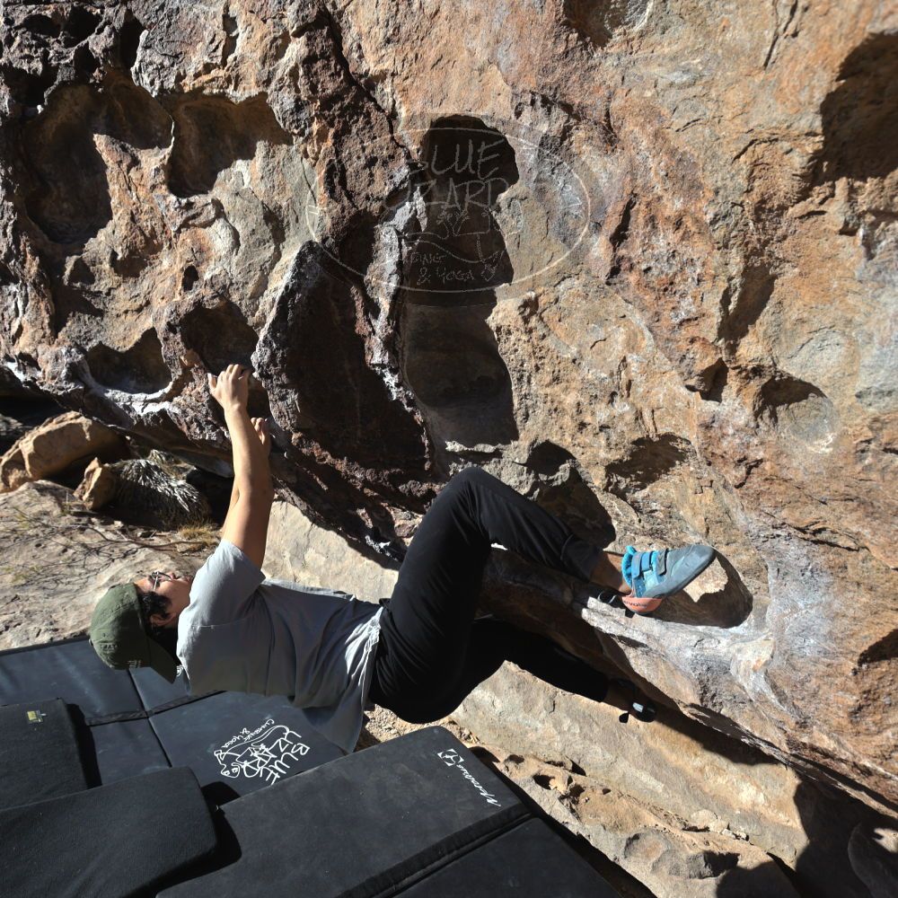 Filename: SRM_20211230_1025560.jpg
Aperture: f/5.6
Shutter Speed: 1/1600
Body: Canon EOS R6
Lens: Canon EF 16-35mm f/2.8 L