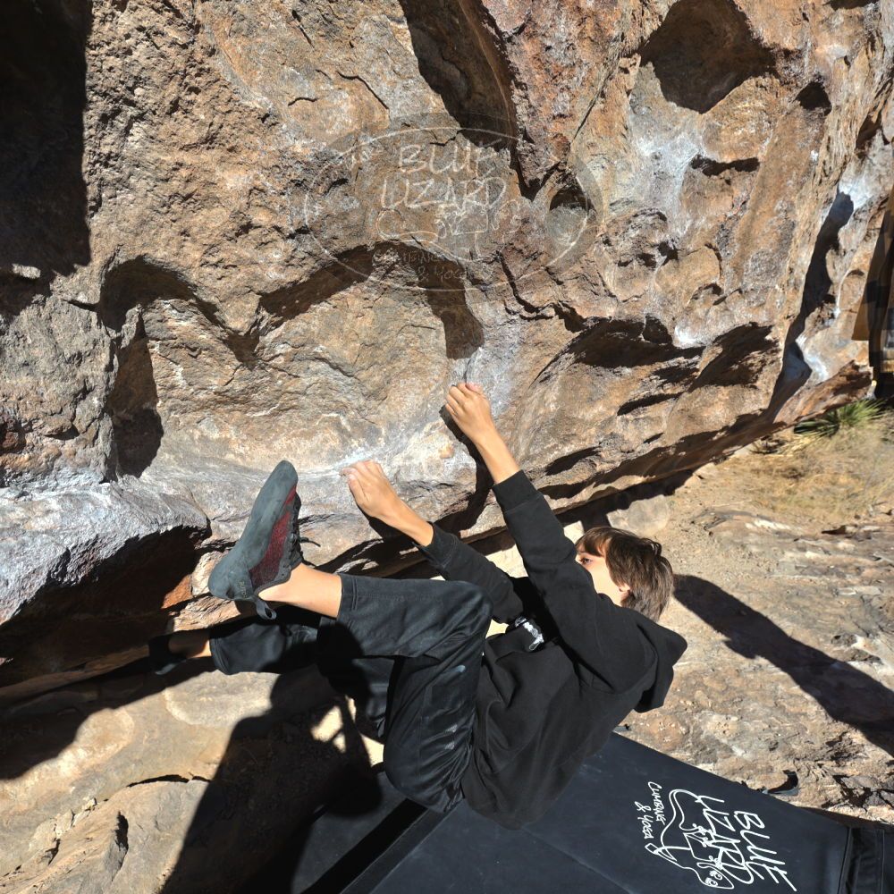 Filename: SRM_20211230_1032540.jpg
Aperture: f/5.6
Shutter Speed: 1/1600
Body: Canon EOS R6
Lens: Canon EF 16-35mm f/2.8 L