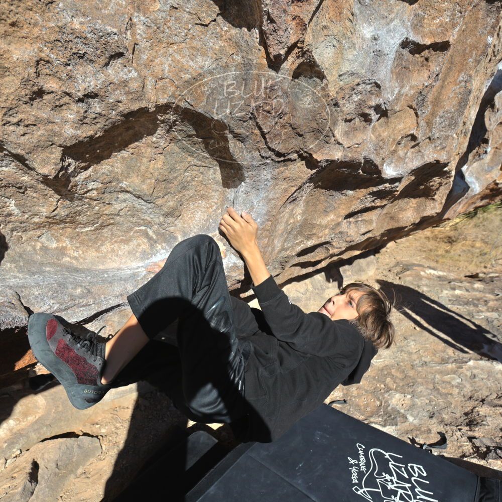 Filename: SRM_20211230_1034200.jpg
Aperture: f/5.6
Shutter Speed: 1/1600
Body: Canon EOS R6
Lens: Canon EF 16-35mm f/2.8 L