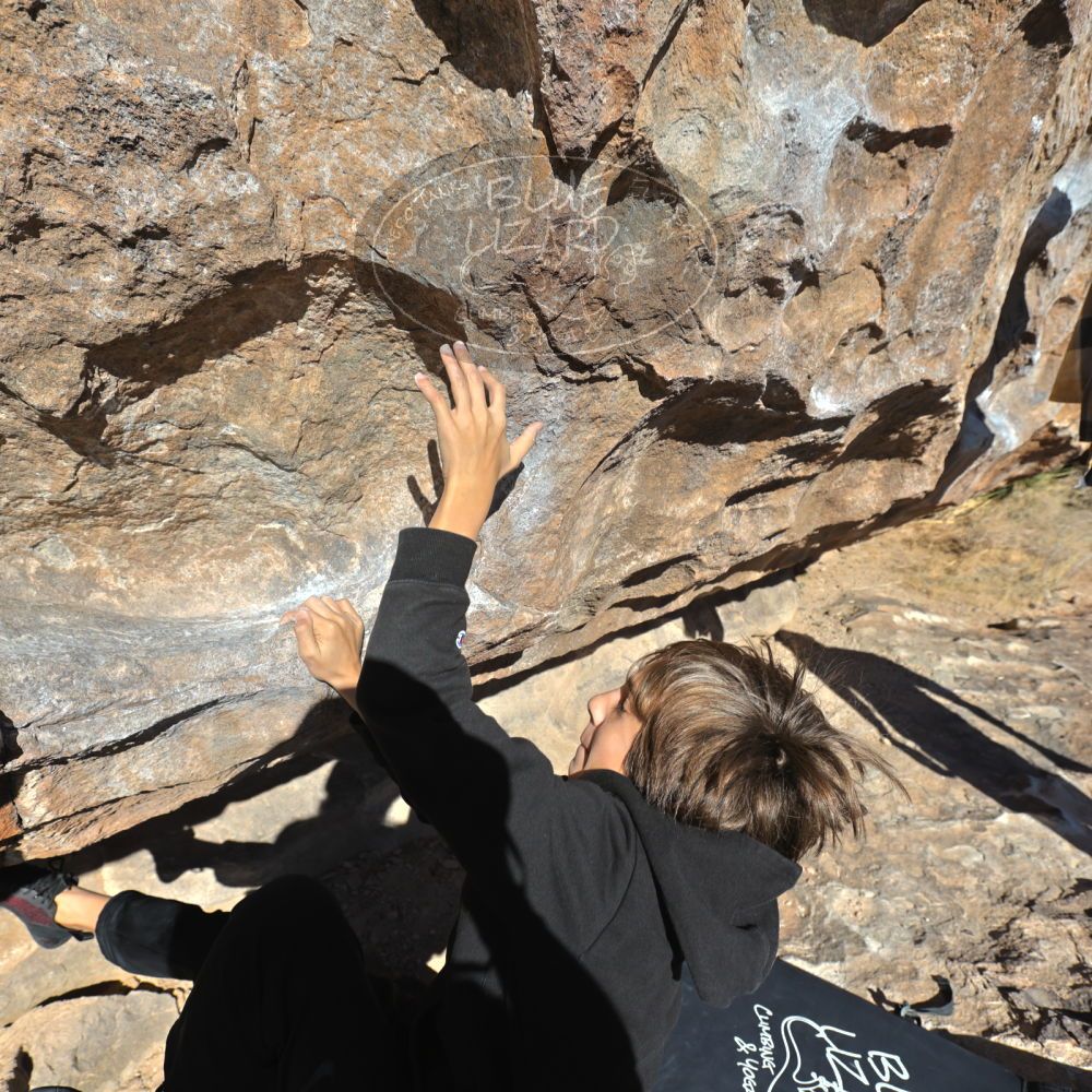 Filename: SRM_20211230_1034201.jpg
Aperture: f/5.6
Shutter Speed: 1/1600
Body: Canon EOS R6
Lens: Canon EF 16-35mm f/2.8 L