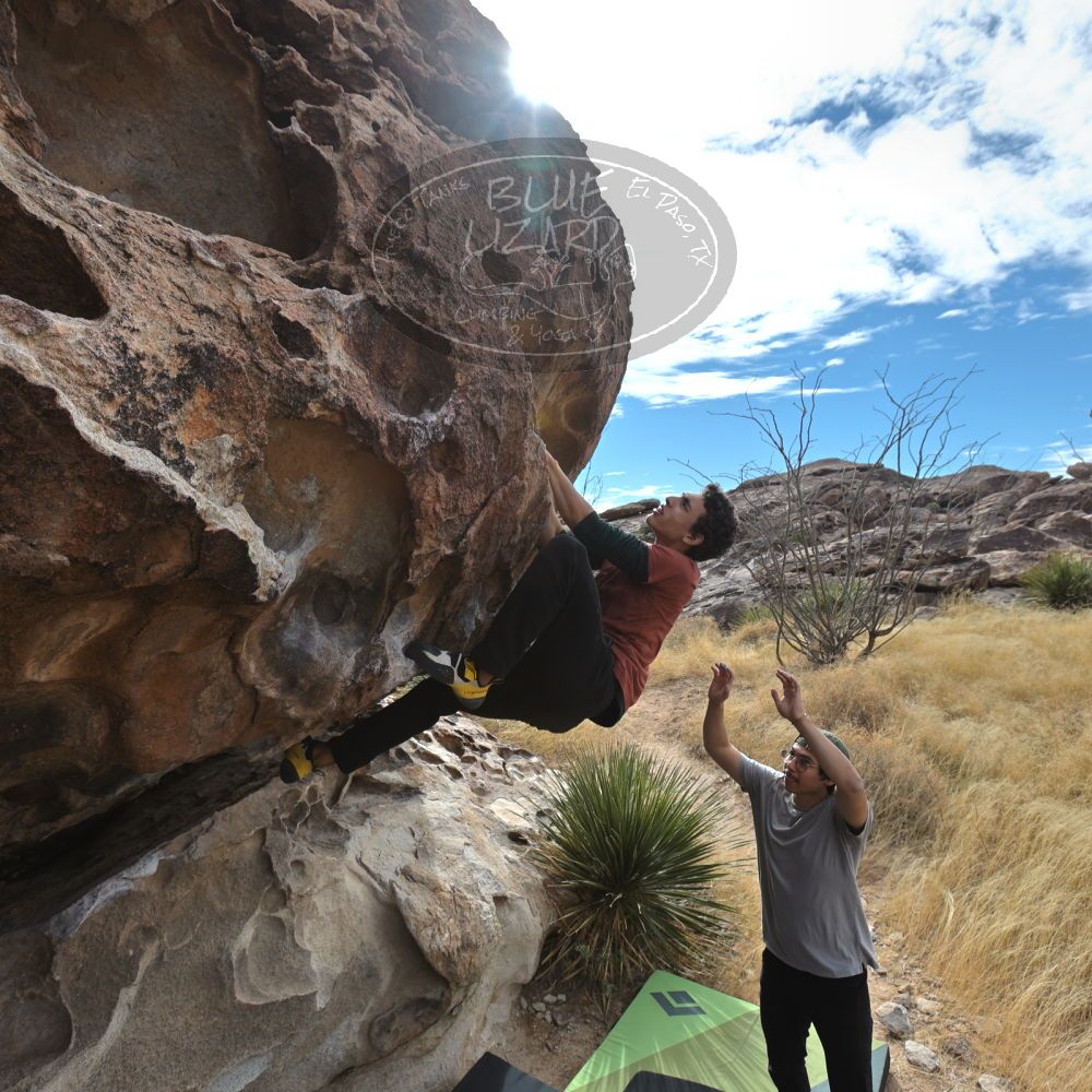 Filename: SRM_20211230_1138090.jpg
Aperture: f/5.6
Shutter Speed: 1/1250
Body: Canon EOS R6
Lens: Canon EF 16-35mm f/2.8 L