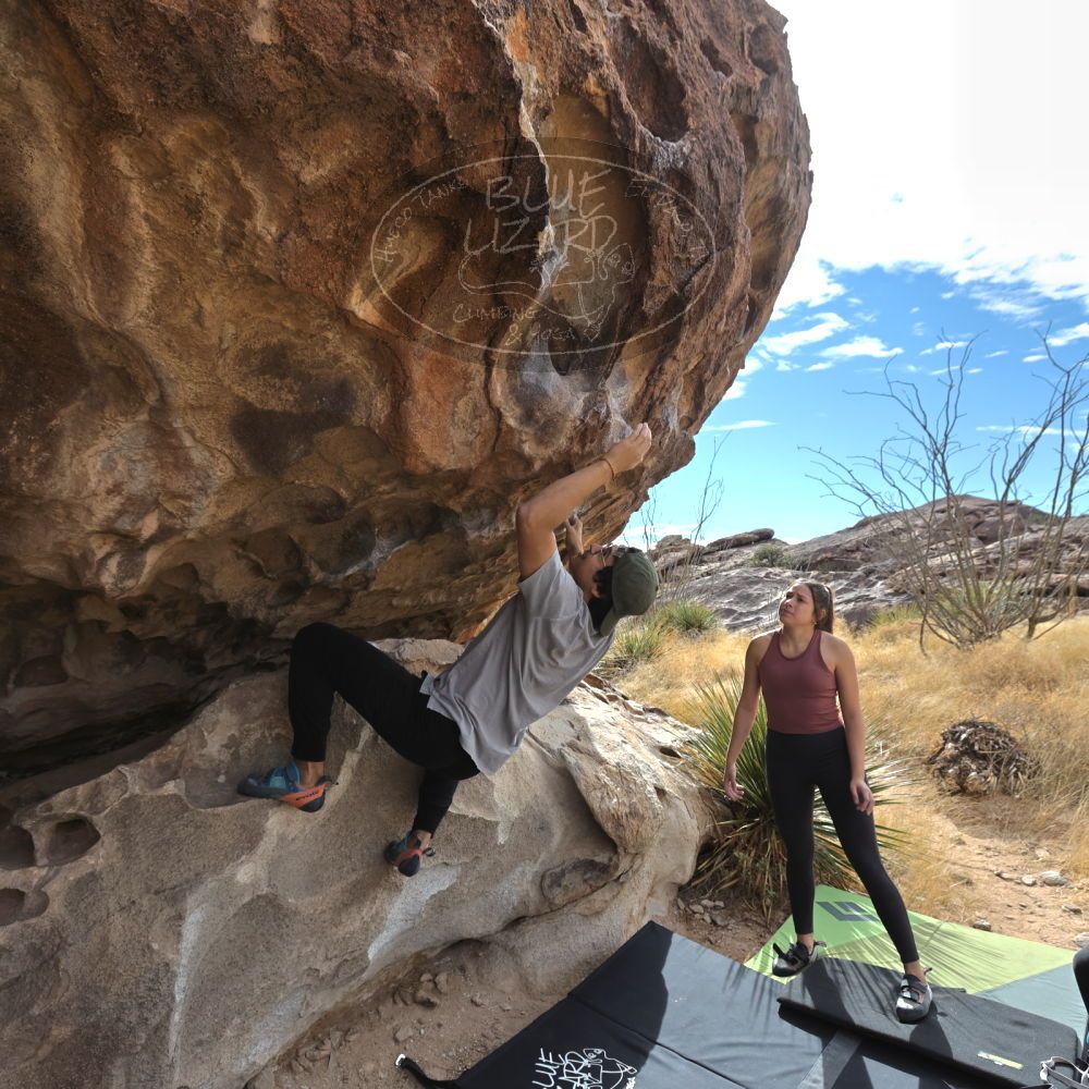 

Filename: SRM_20211230_1140450.jpg
Aperture: f/5.6
Shutter Speed: 1/1250
Body: Canon EOS R6
Lens: Canon EF 16-35mm f/2.8 L