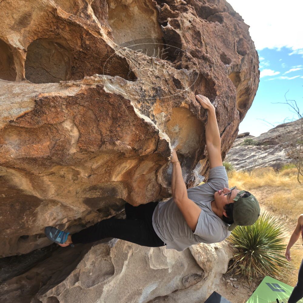 

Filename: SRM_20211230_1141030.jpg
Aperture: f/5.6
Shutter Speed: 1/1250
Body: Canon EOS R6
Lens: Canon EF 16-35mm f/2.8 L