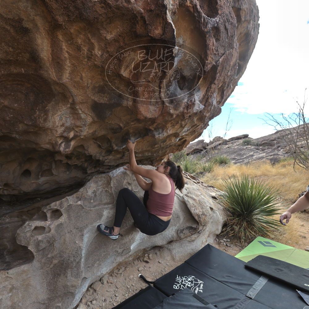 Filename: SRM_20211230_1145100.jpg
Aperture: f/5.6
Shutter Speed: 1/500
Body: Canon EOS R6
Lens: Canon EF 16-35mm f/2.8 L