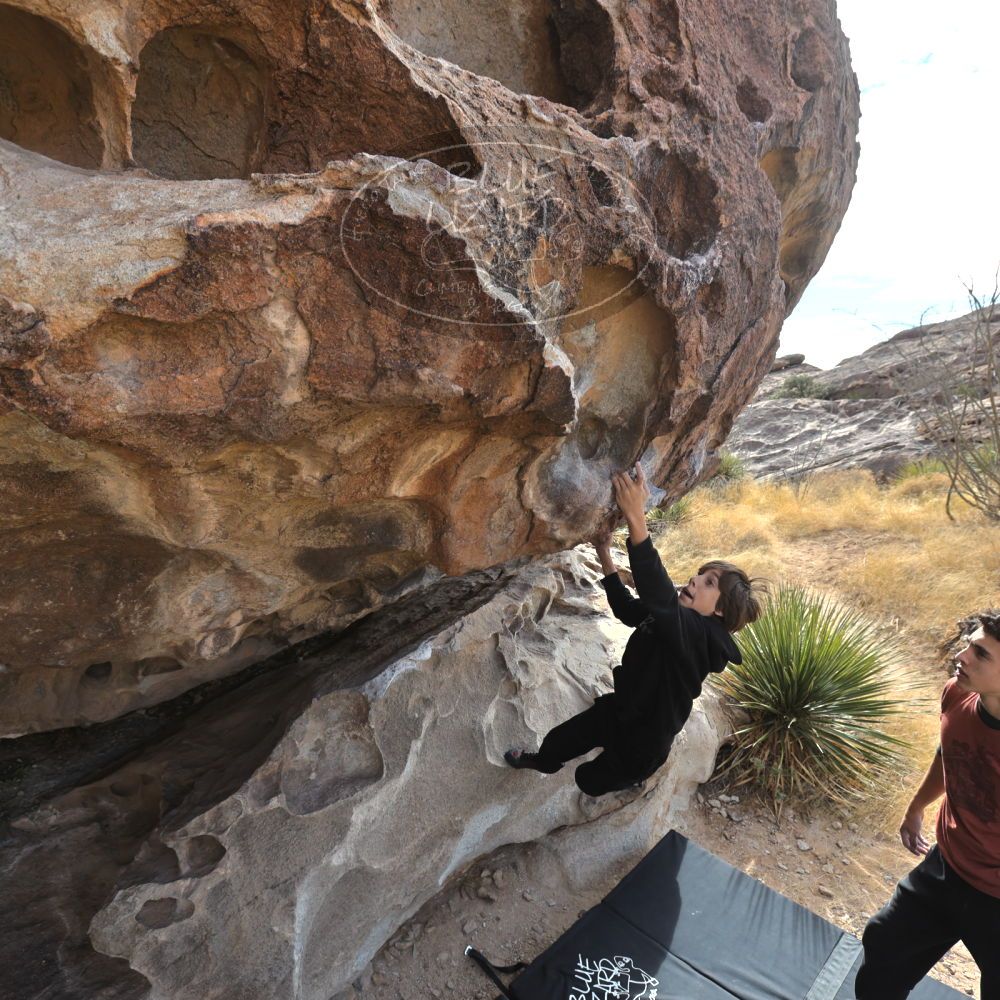 Filename: SRM_20211230_1148020.jpg
Aperture: f/5.6
Shutter Speed: 1/500
Body: Canon EOS R6
Lens: Canon EF 16-35mm f/2.8 L