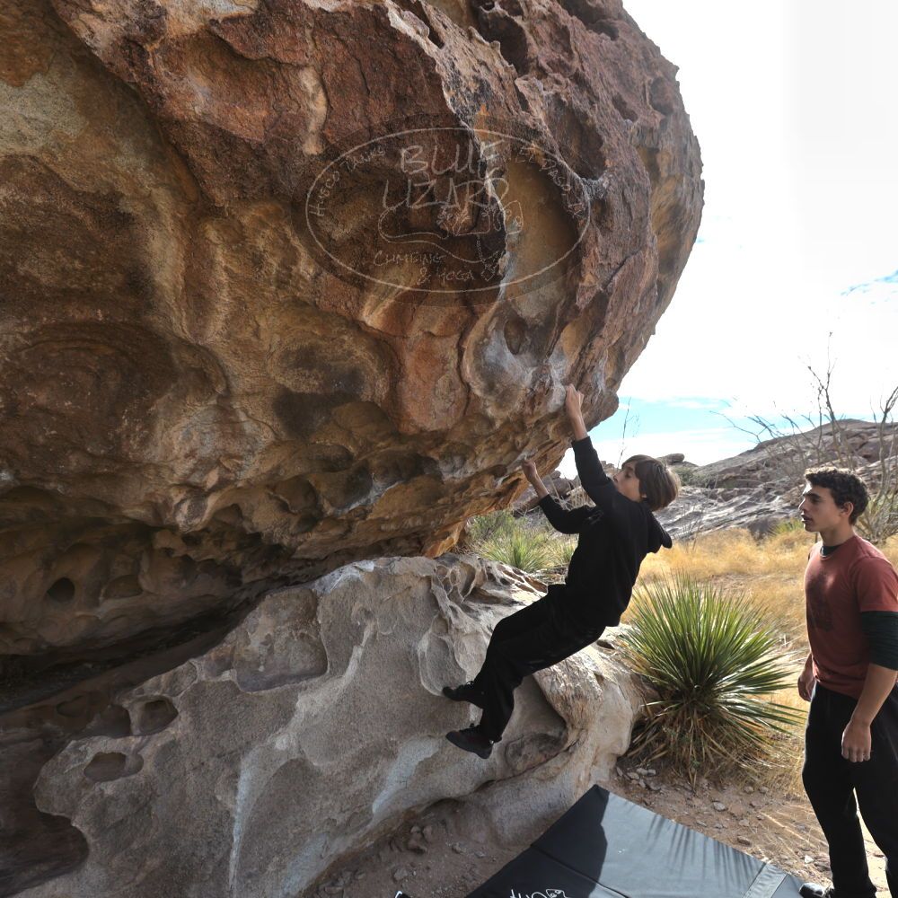 

Filename: SRM_20211230_1148280.jpg
Aperture: f/5.6
Shutter Speed: 1/500
Body: Canon EOS R6
Lens: Canon EF 16-35mm f/2.8 L