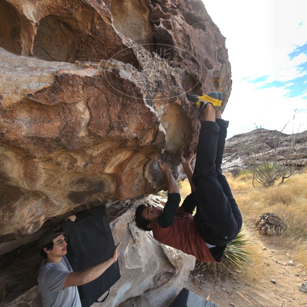 

Filename: SRM_20211230_1149330.jpg
Aperture: f/5.6
Shutter Speed: 1/500
Body: Canon EOS R6
Lens: Canon EF 16-35mm f/2.8 L