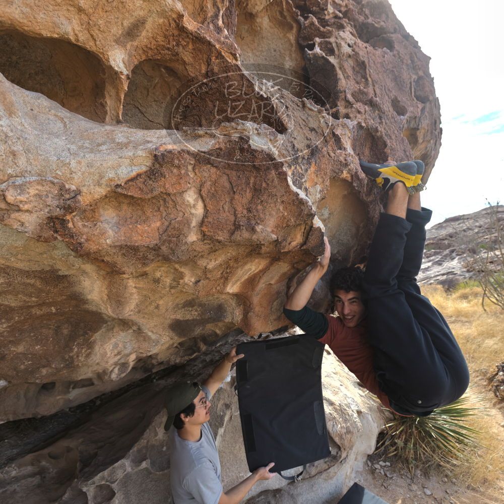 Filename: SRM_20211230_1149420.jpg
Aperture: f/5.6
Shutter Speed: 1/500
Body: Canon EOS R6
Lens: Canon EF 16-35mm f/2.8 L