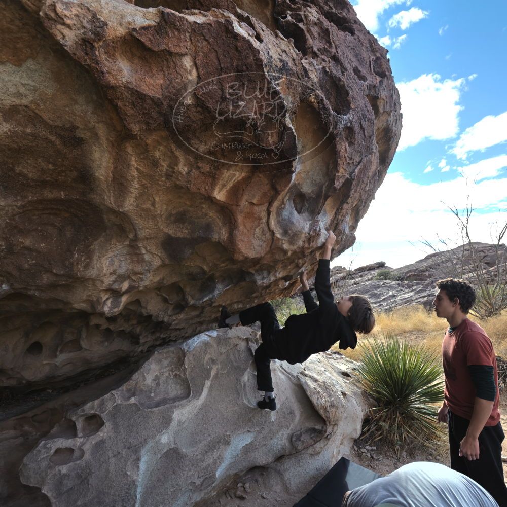 Filename: SRM_20211230_1151580.jpg
Aperture: f/5.6
Shutter Speed: 1/500
Body: Canon EOS R6
Lens: Canon EF 16-35mm f/2.8 L