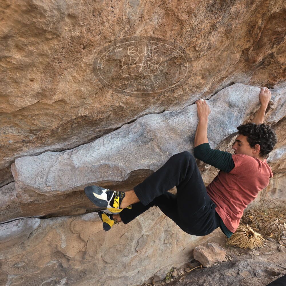 Filename: SRM_20211230_1158370.jpg
Aperture: f/5.6
Shutter Speed: 1/500
Body: Canon EOS R6
Lens: Canon EF 16-35mm f/2.8 L