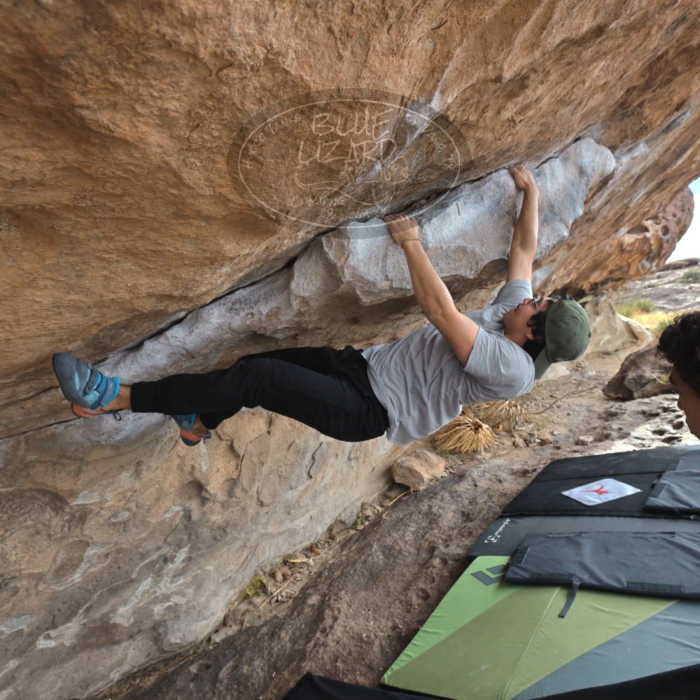 

Filename: SRM_20211230_1204290.jpg
Aperture: f/5.6
Shutter Speed: 1/500
Body: Canon EOS R6
Lens: Canon EF 16-35mm f/2.8 L