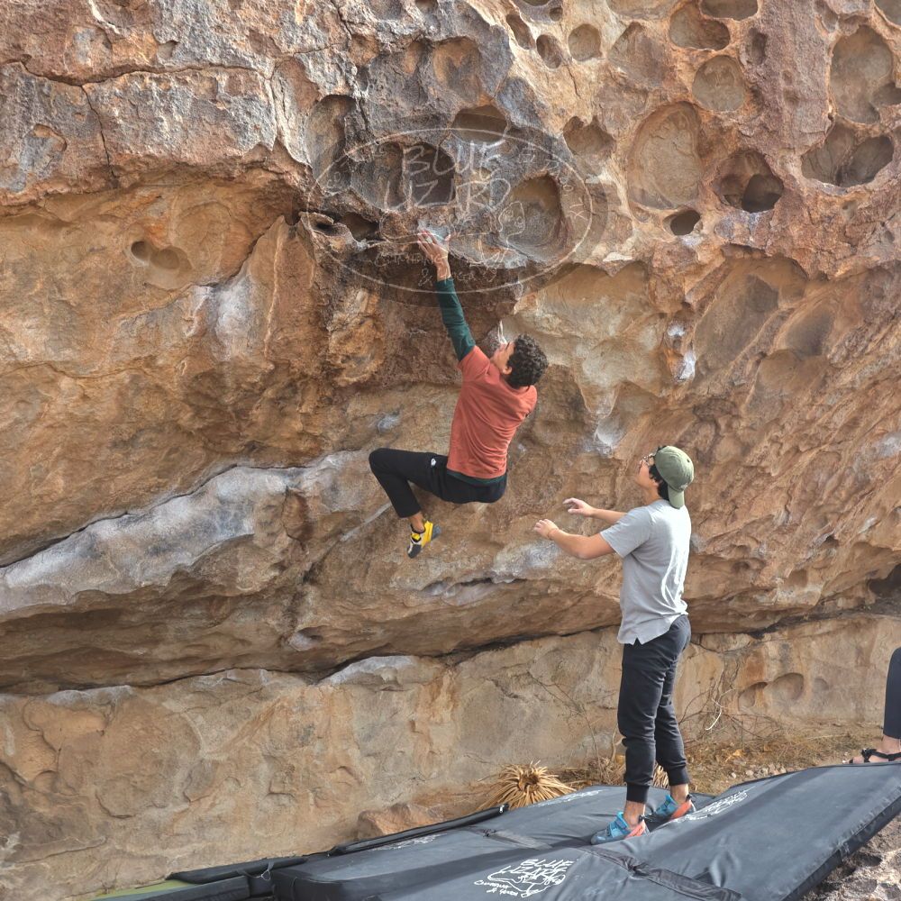 

Filename: SRM_20211230_1207440.jpg
Aperture: f/5.6
Shutter Speed: 1/500
Body: Canon EOS R6
Lens: Canon EF 16-35mm f/2.8 L