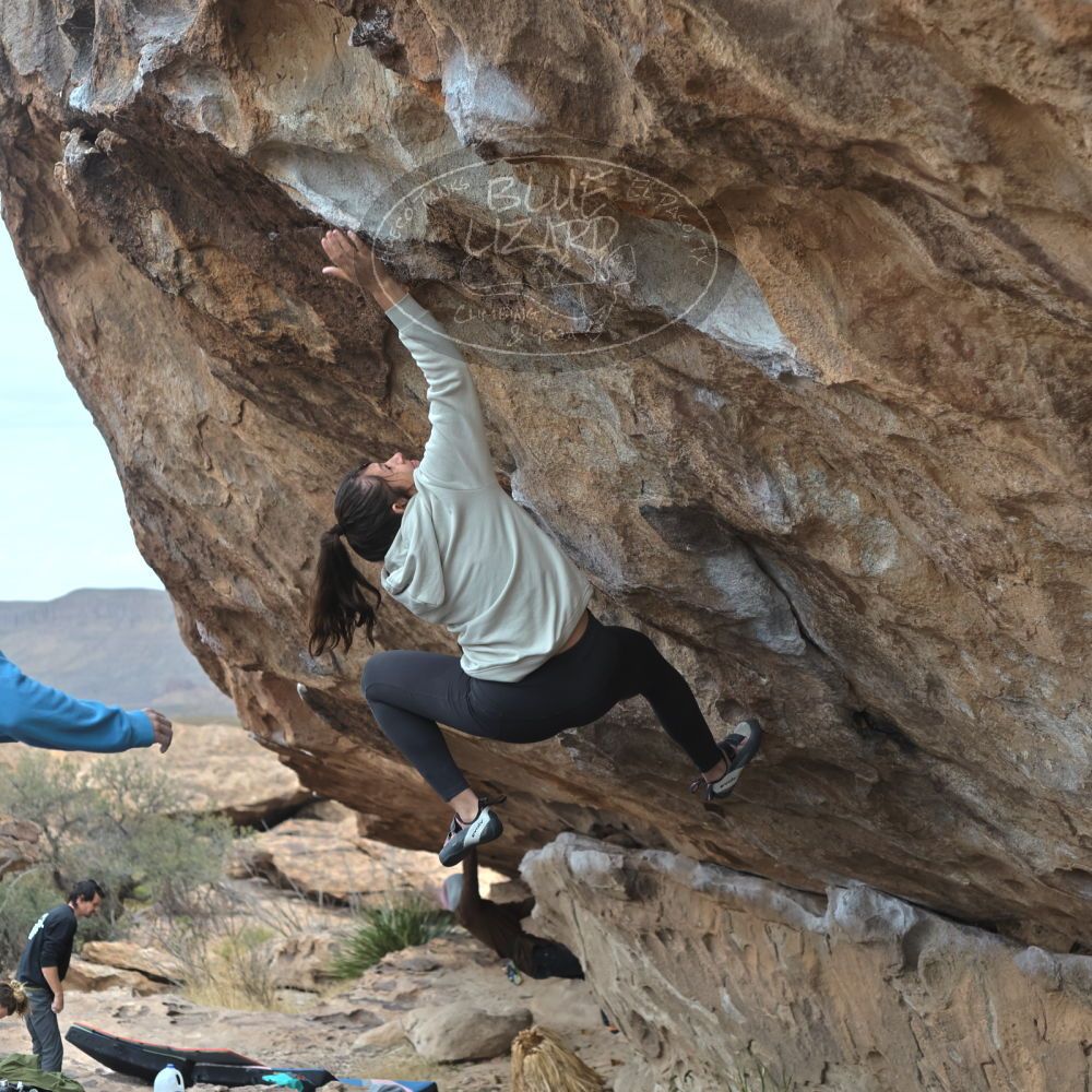 

Filename: SRM_20211230_1232490.jpg
Aperture: f/4.0
Shutter Speed: 1/1000
Body: Canon EOS R6
Lens: Canon EF 50mm f/1.8 II