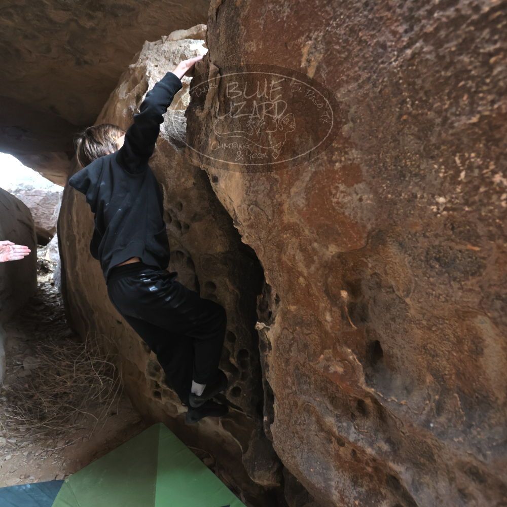 

Filename: SRM_20211230_1251221.jpg
Aperture: f/4.0
Shutter Speed: 1/1000
Body: Canon EOS R6
Lens: Canon EF 16-35mm f/2.8 L