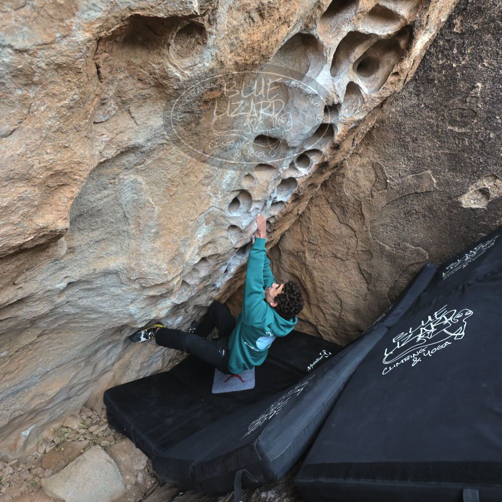 Filename: SRM_20211230_1334130.jpg
Aperture: f/5.6
Shutter Speed: 1/1000
Body: Canon EOS R6
Lens: Canon EF 16-35mm f/2.8 L