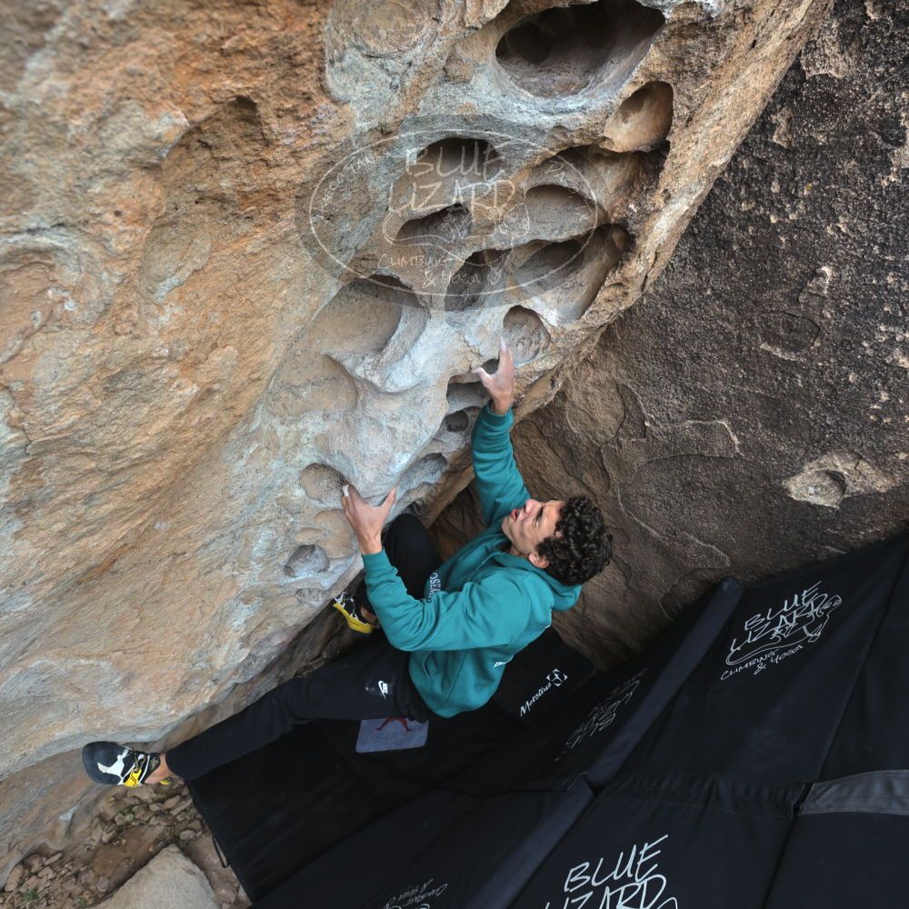 Filename: SRM_20211230_1334250.jpg
Aperture: f/5.6
Shutter Speed: 1/500
Body: Canon EOS R6
Lens: Canon EF 16-35mm f/2.8 L