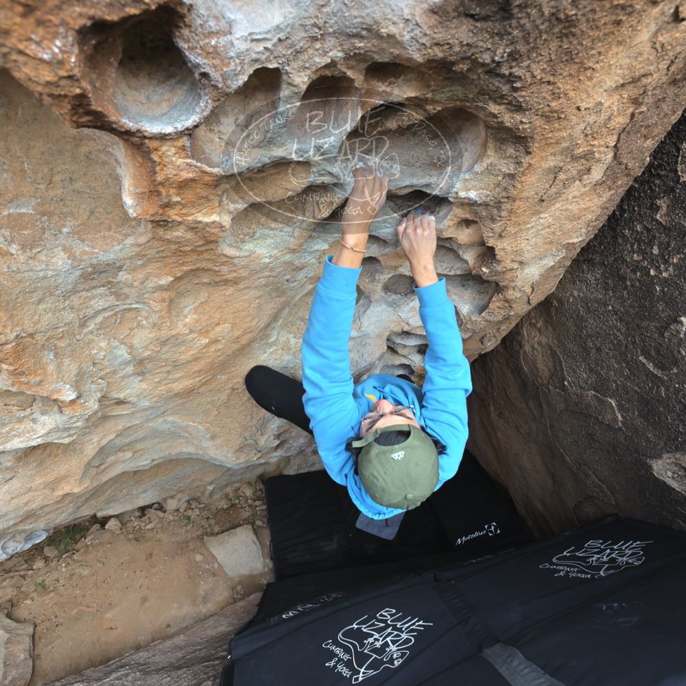 

Filename: SRM_20211230_1344250.jpg
Aperture: f/5.6
Shutter Speed: 1/500
Body: Canon EOS R6
Lens: Canon EF 16-35mm f/2.8 L