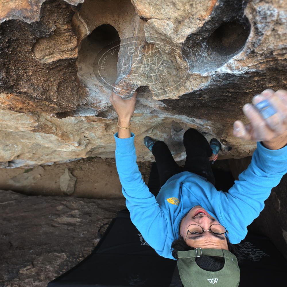 

Filename: SRM_20211230_1344400.jpg
Aperture: f/5.6
Shutter Speed: 1/500
Body: Canon EOS R6
Lens: Canon EF 16-35mm f/2.8 L