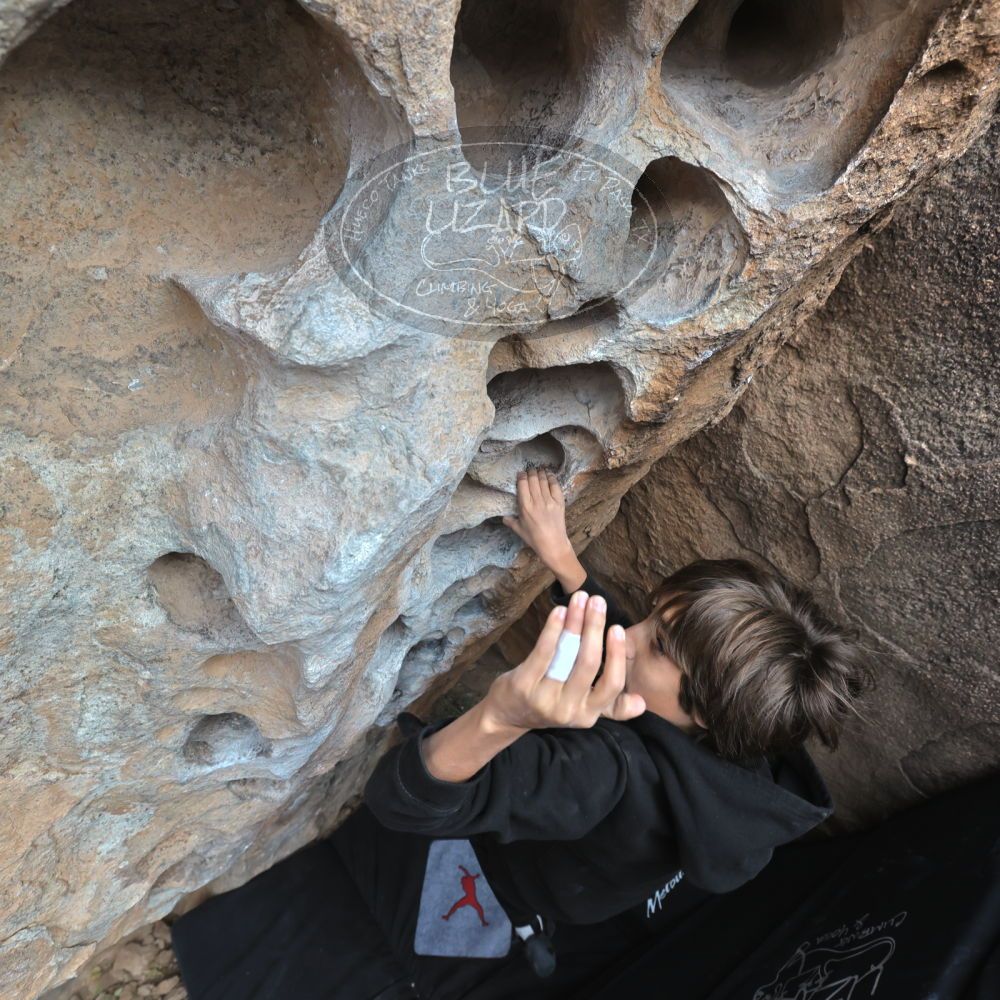 Filename: SRM_20211230_1351480.jpg
Aperture: f/5.6
Shutter Speed: 1/500
Body: Canon EOS R6
Lens: Canon EF 16-35mm f/2.8 L