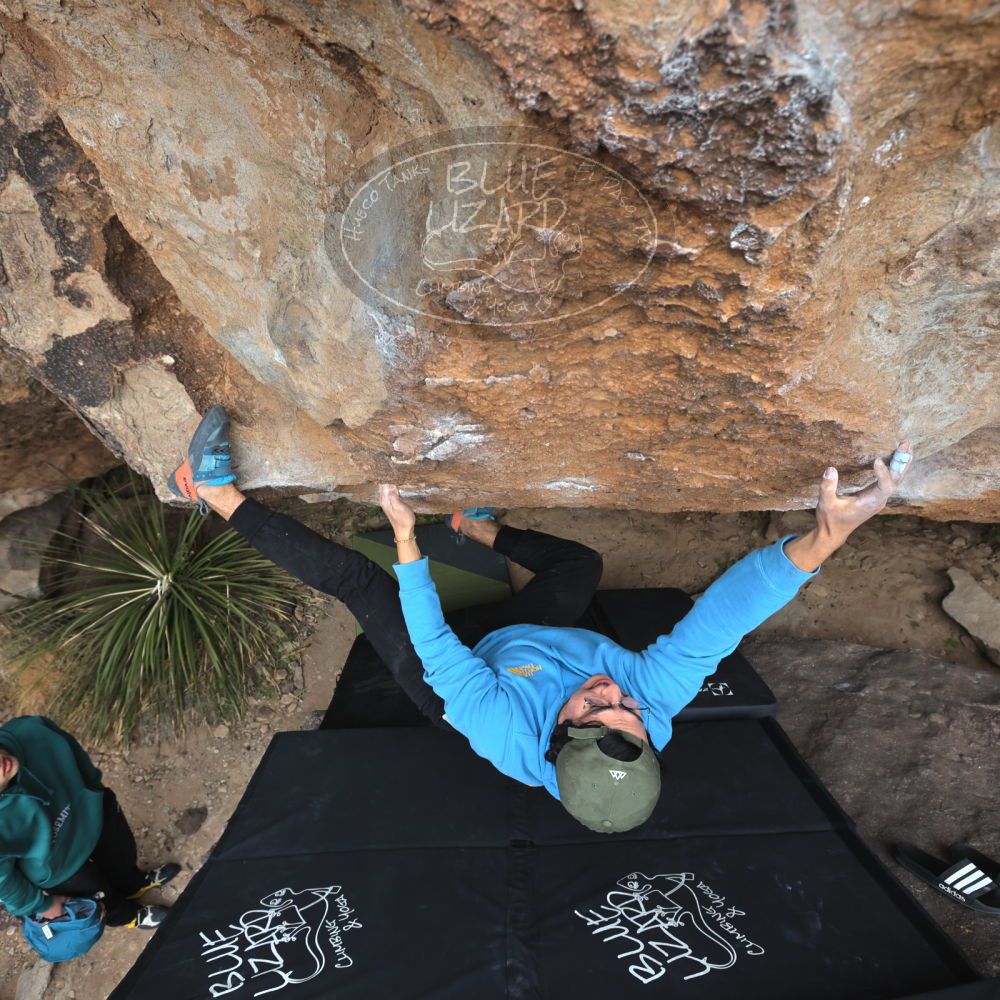 Filename: SRM_20211230_1409270.jpg
Aperture: f/5.6
Shutter Speed: 1/500
Body: Canon EOS R6
Lens: Canon EF 16-35mm f/2.8 L