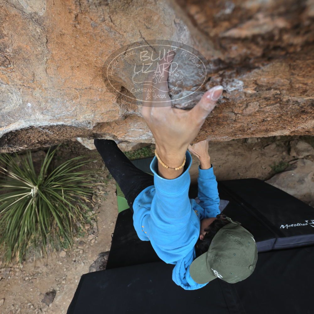 Filename: SRM_20211230_1414530.jpg
Aperture: f/5.6
Shutter Speed: 1/500
Body: Canon EOS R6
Lens: Canon EF 16-35mm f/2.8 L