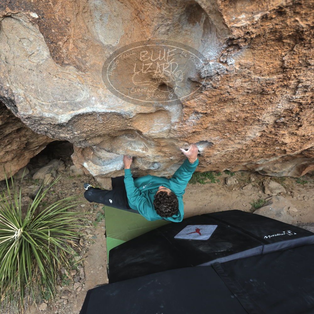 

Filename: SRM_20211230_1418420.jpg
Aperture: f/5.6
Shutter Speed: 1/500
Body: Canon EOS R6
Lens: Canon EF 16-35mm f/2.8 L