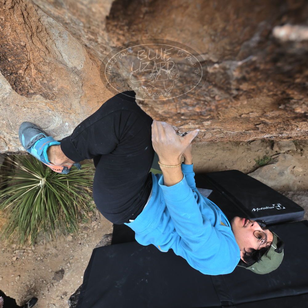 Filename: SRM_20211230_1425270.jpg
Aperture: f/5.6
Shutter Speed: 1/400
Body: Canon EOS R6
Lens: Canon EF 16-35mm f/2.8 L