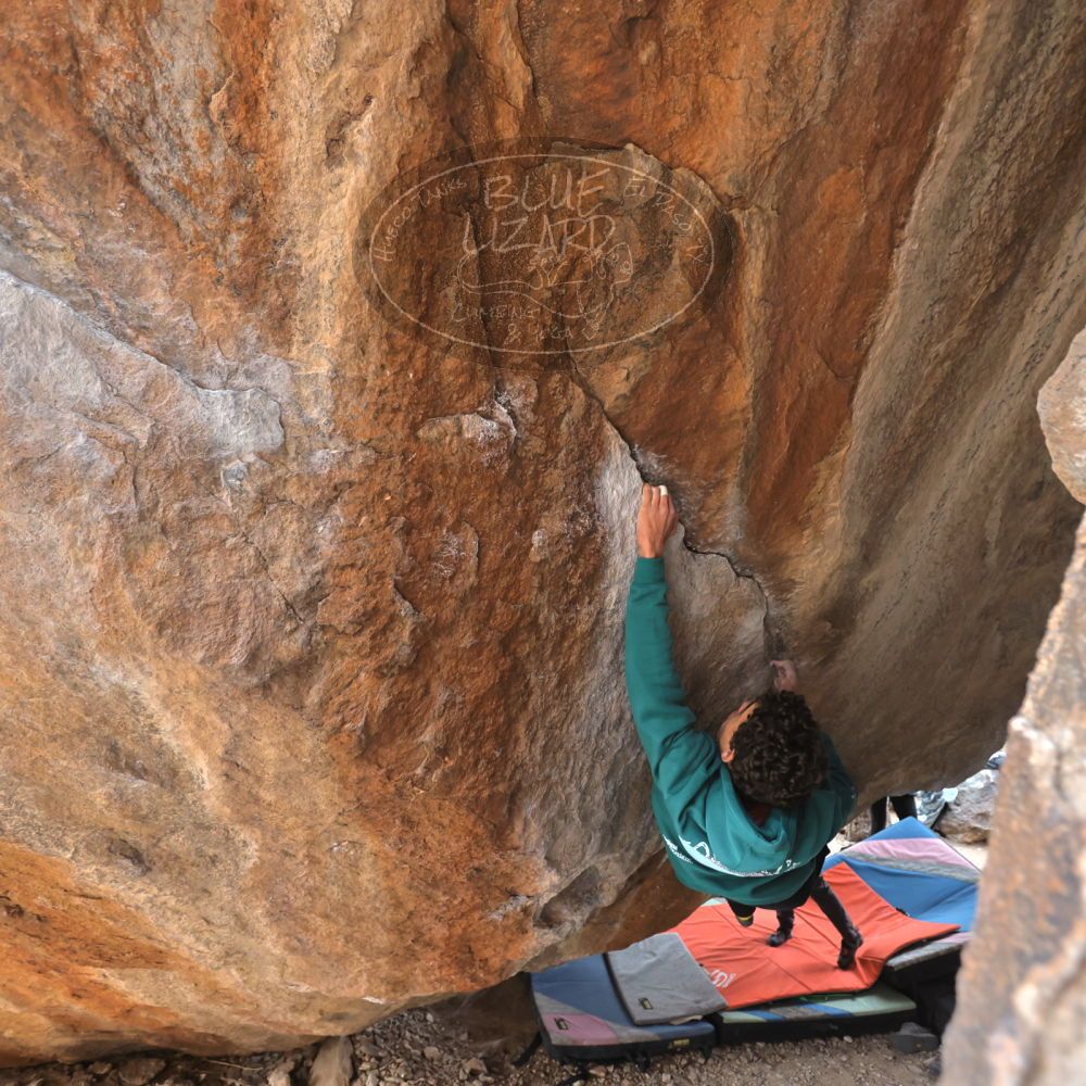 Filename: SRM_20211230_1452010.jpg
Aperture: f/4.0
Shutter Speed: 1/250
Body: Canon EOS R6
Lens: Canon EF 16-35mm f/2.8 L