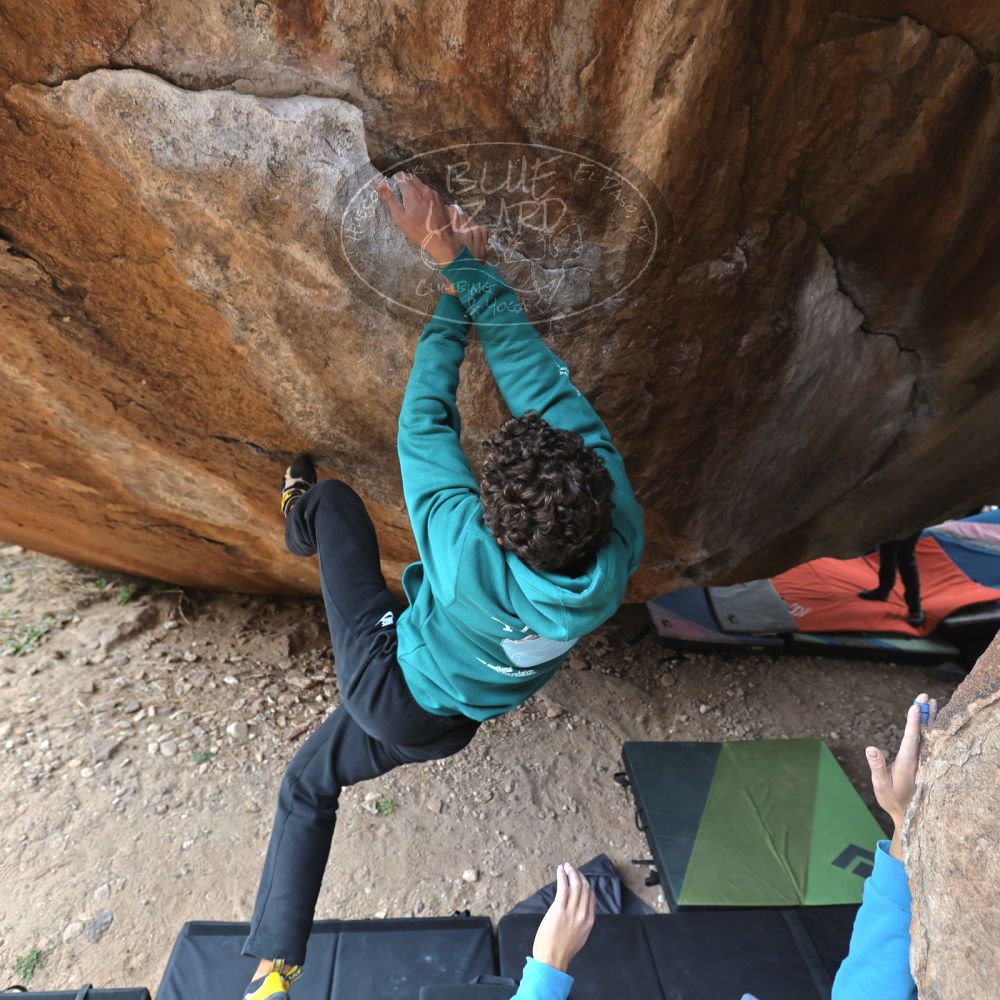 Filename: SRM_20211230_1452181.jpg
Aperture: f/4.0
Shutter Speed: 1/250
Body: Canon EOS R6
Lens: Canon EF 16-35mm f/2.8 L