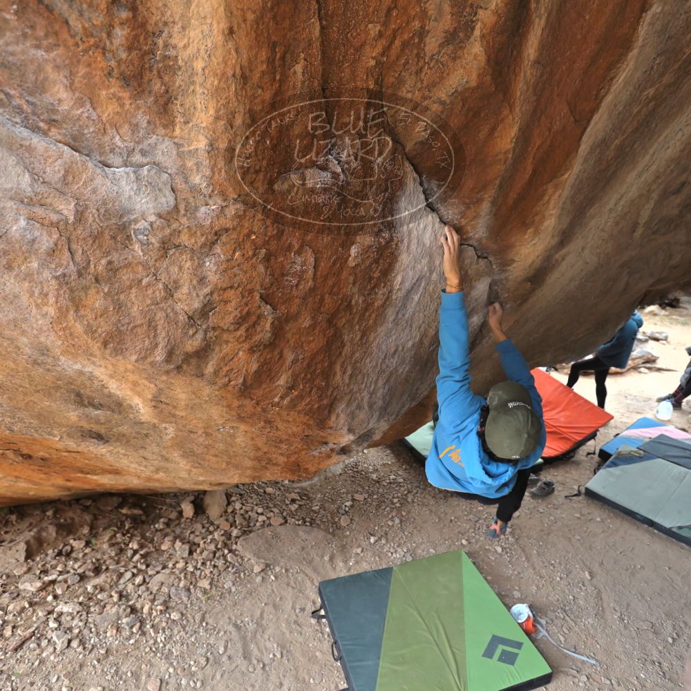 Filename: SRM_20211230_1505541.jpg
Aperture: f/4.0
Shutter Speed: 1/250
Body: Canon EOS R6
Lens: Canon EF 16-35mm f/2.8 L