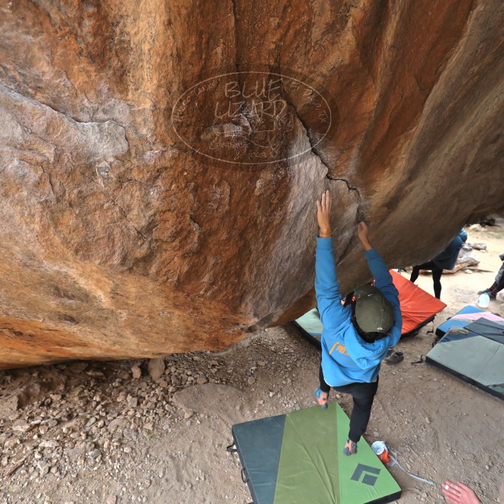 

Filename: SRM_20211230_1505550.jpg
Aperture: f/4.0
Shutter Speed: 1/250
Body: Canon EOS R6
Lens: Canon EF 16-35mm f/2.8 L