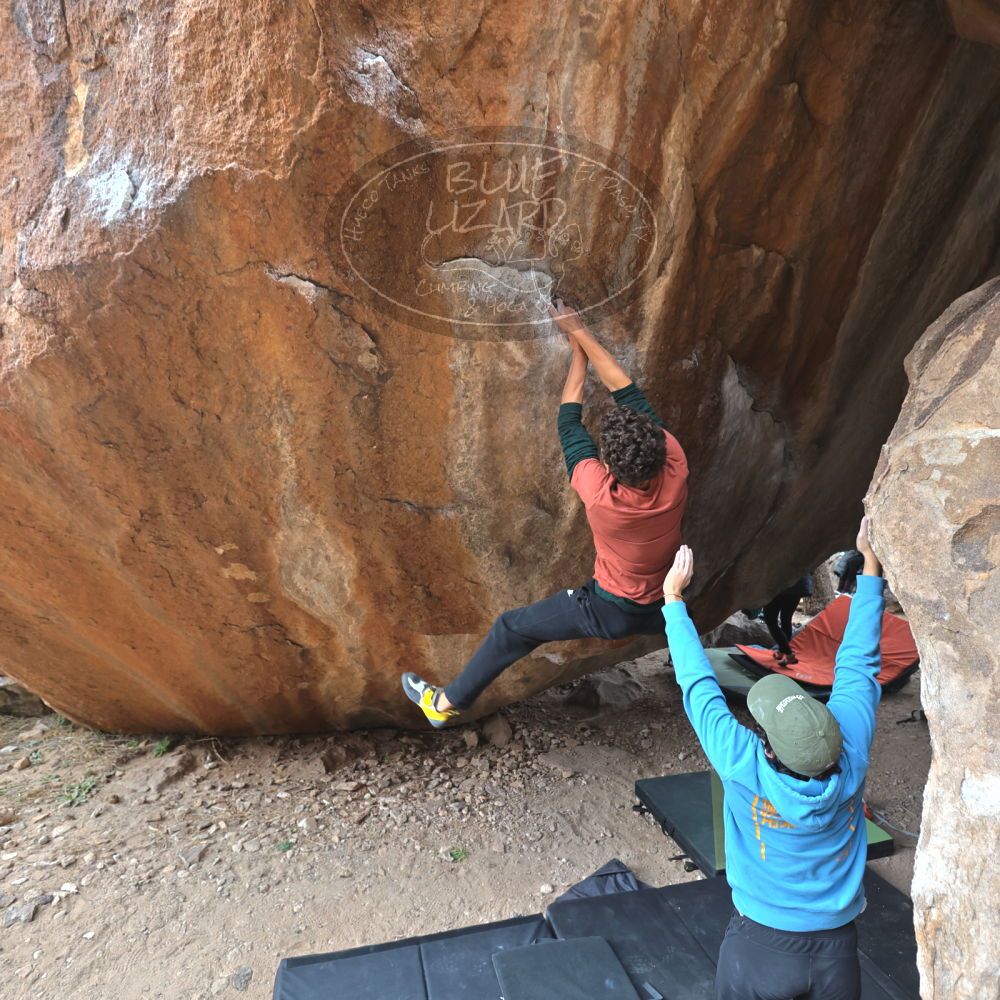 Filename: SRM_20211230_1507190.jpg
Aperture: f/4.0
Shutter Speed: 1/250
Body: Canon EOS R6
Lens: Canon EF 16-35mm f/2.8 L