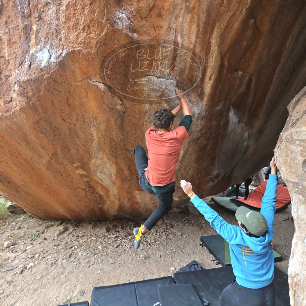 

Filename: SRM_20211230_1507191.jpg
Aperture: f/4.0
Shutter Speed: 1/250
Body: Canon EOS R6
Lens: Canon EF 16-35mm f/2.8 L