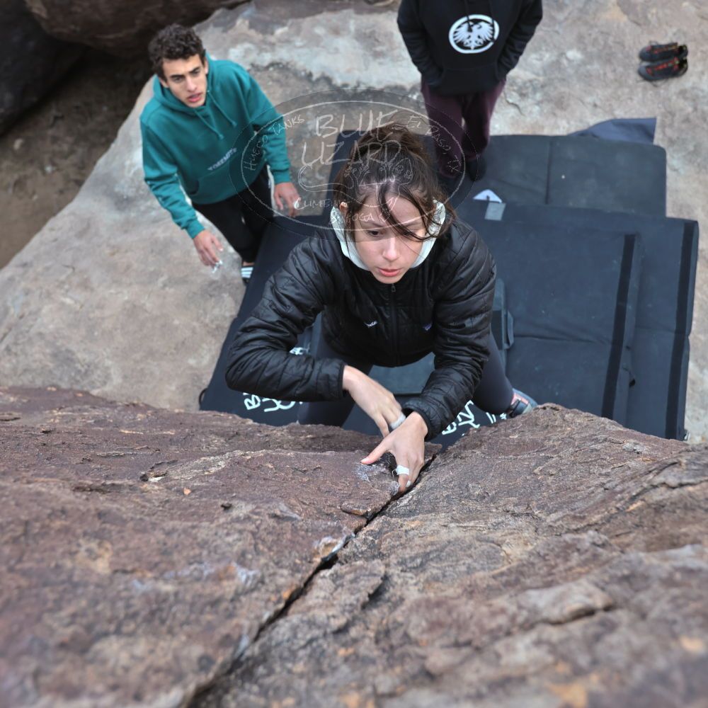 Filename: SRM_20211230_1601360.jpg
Aperture: f/4.0
Shutter Speed: 1/250
Body: Canon EOS R6
Lens: Canon EF 16-35mm f/2.8 L