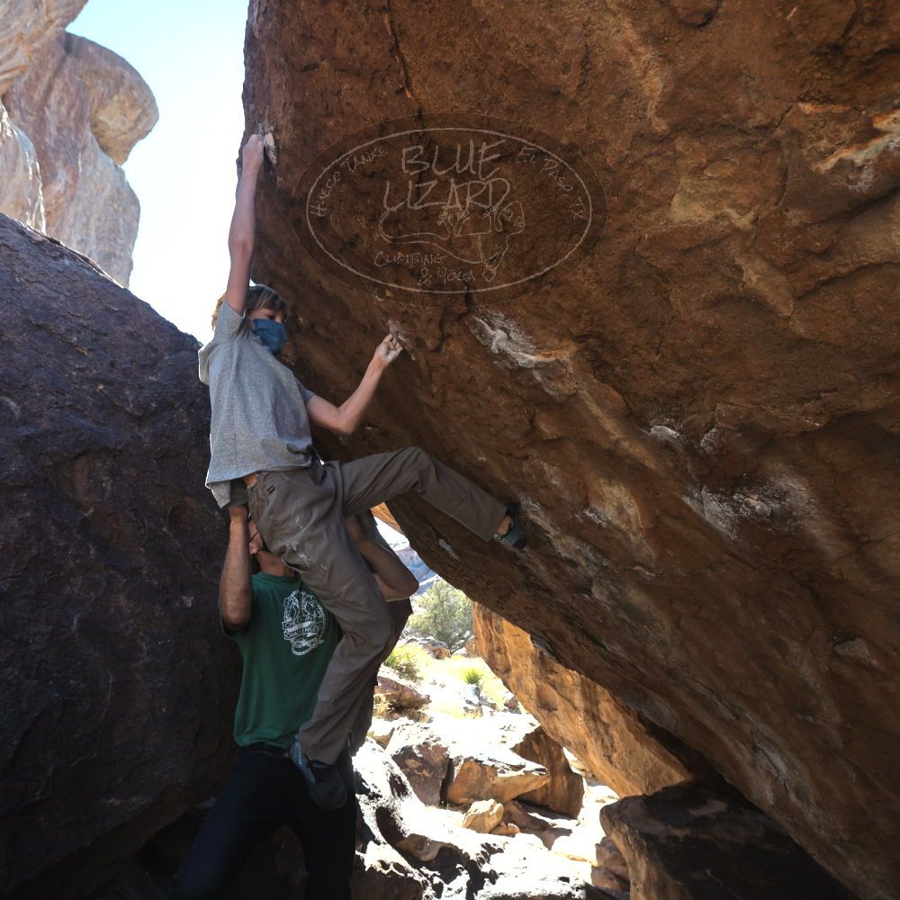 

Filename: SRM_20220106_1215422.jpg
Aperture: f/5.6
Shutter Speed: 1/400
Body: Canon EOS R6
Lens: Canon EF 16-35mm f/2.8 L