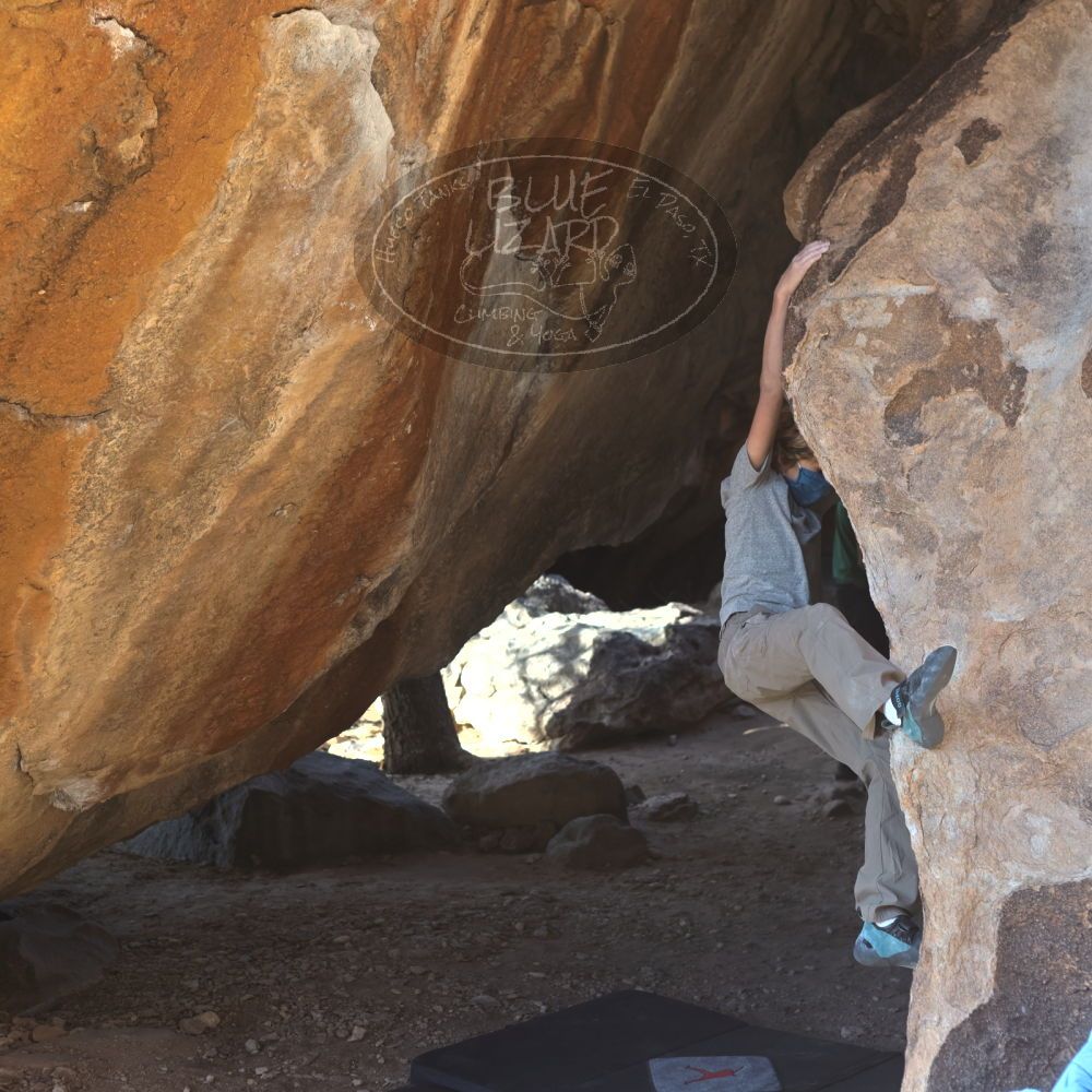 

Filename: SRM_20220106_1439060.jpg
Aperture: f/4.0
Shutter Speed: 1/500
Body: Canon EOS R6
Lens: Canon EF 50mm f/1.8 II