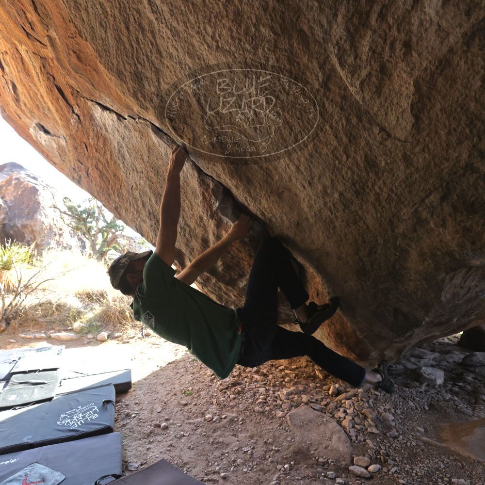 

Filename: SRM_20220106_1444040.jpg
Aperture: f/5.6
Shutter Speed: 1/500
Body: Canon EOS R6
Lens: Canon EF 16-35mm f/2.8 L